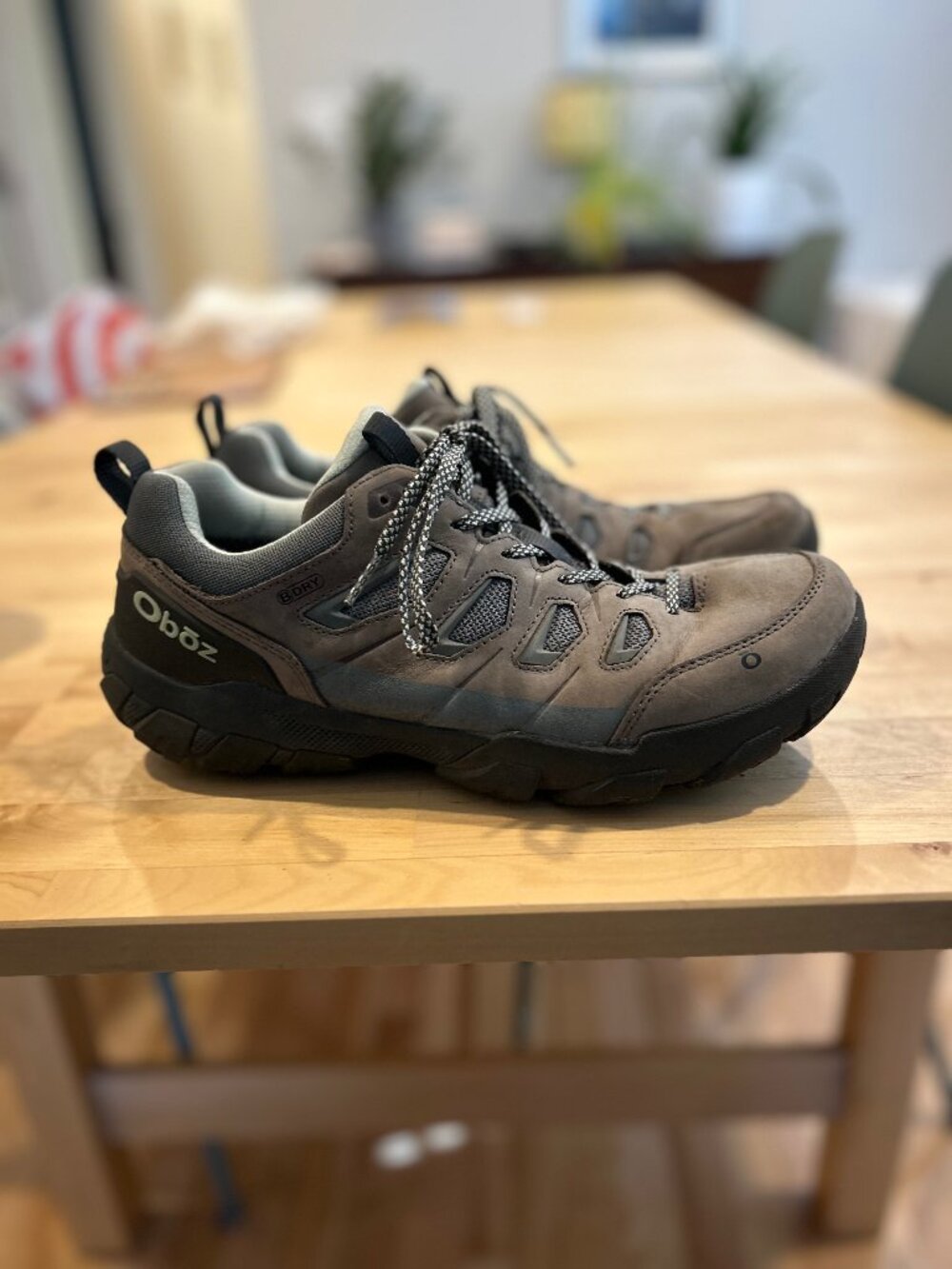Oboz Hiking Shoes